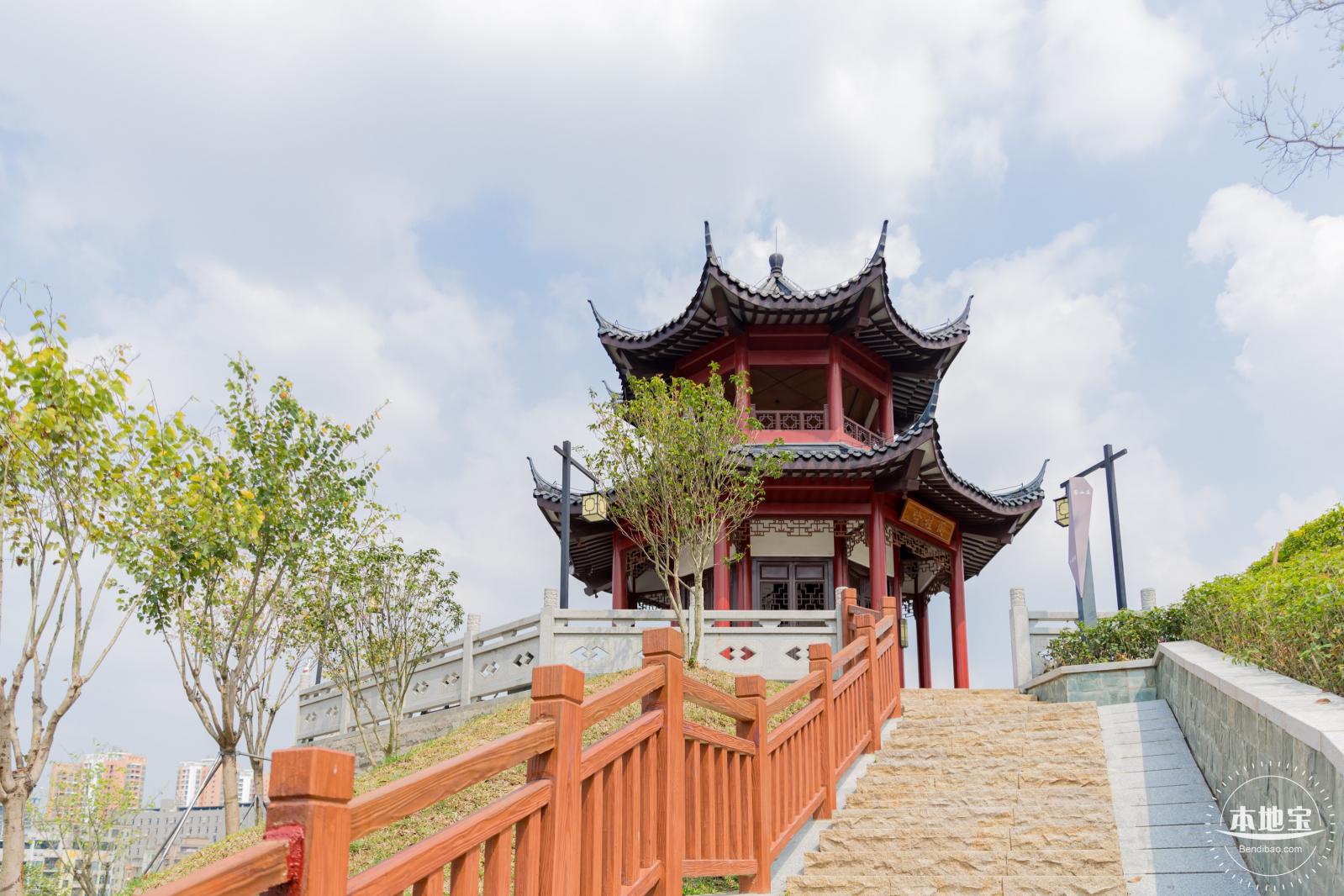 玉龙公园花海
