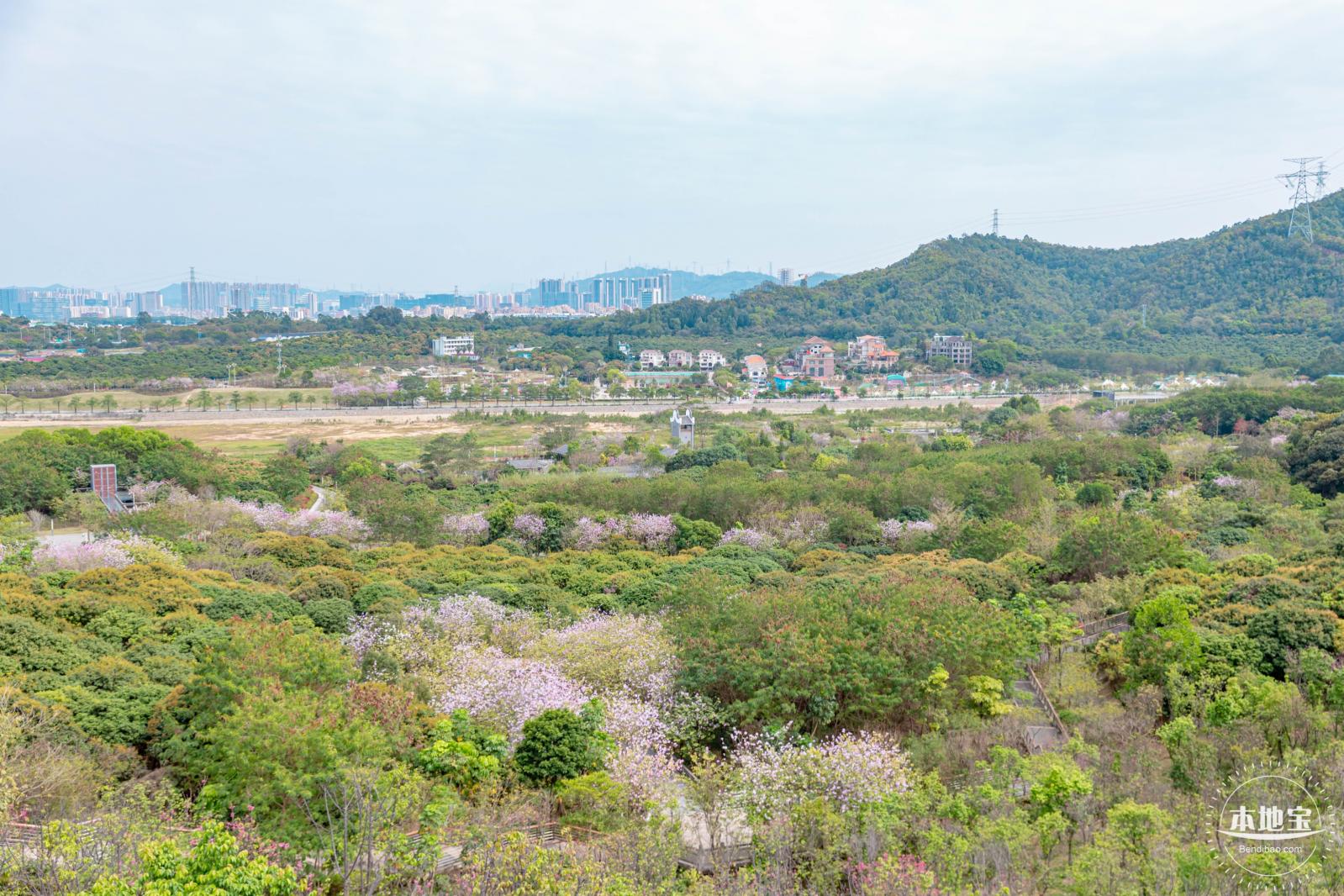 五指耙公园
