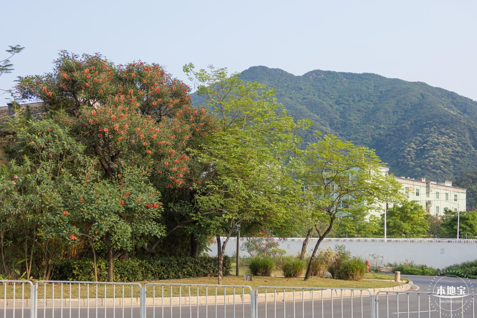 田心公园
