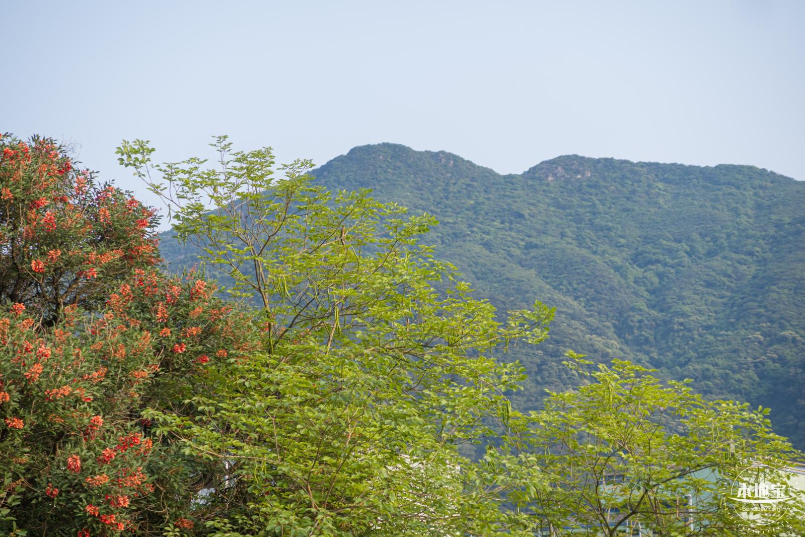 田心公园