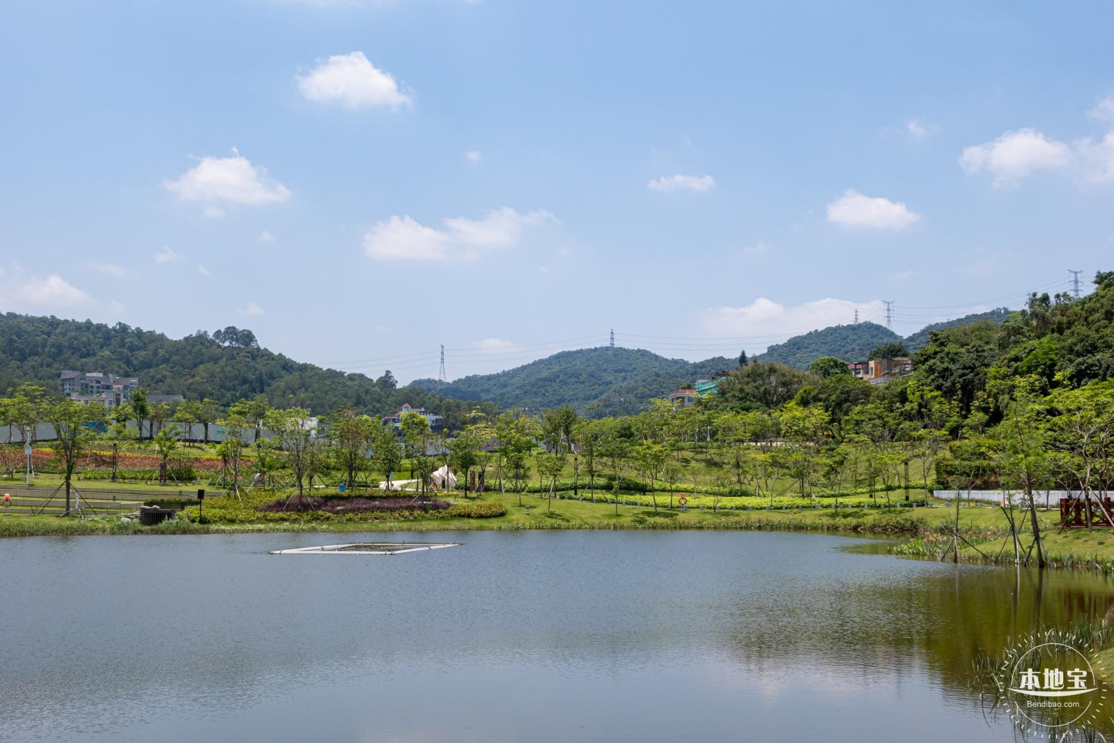 金湖上库水库库岸公园