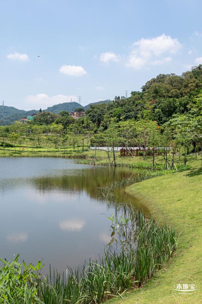 金湖上库水库库岸公园