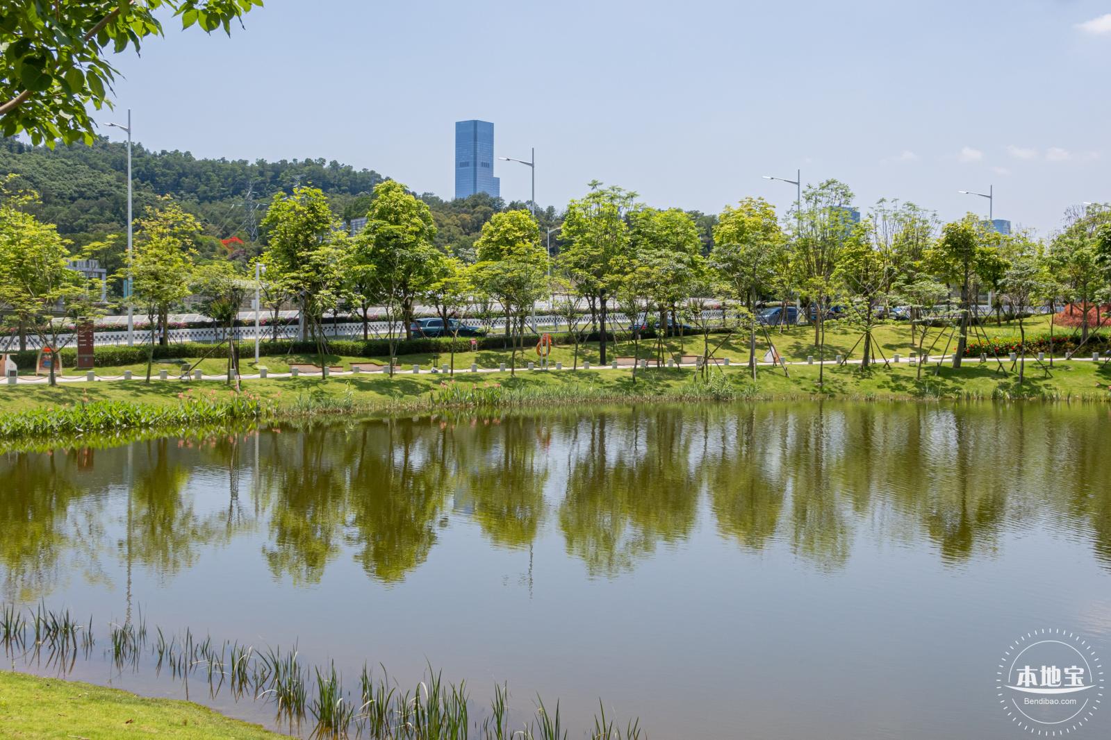 金湖上库水库库岸公园
