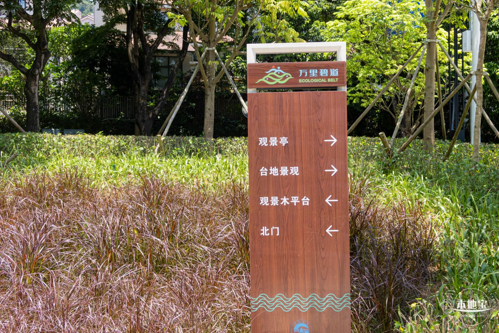 金湖上库水库库岸公园