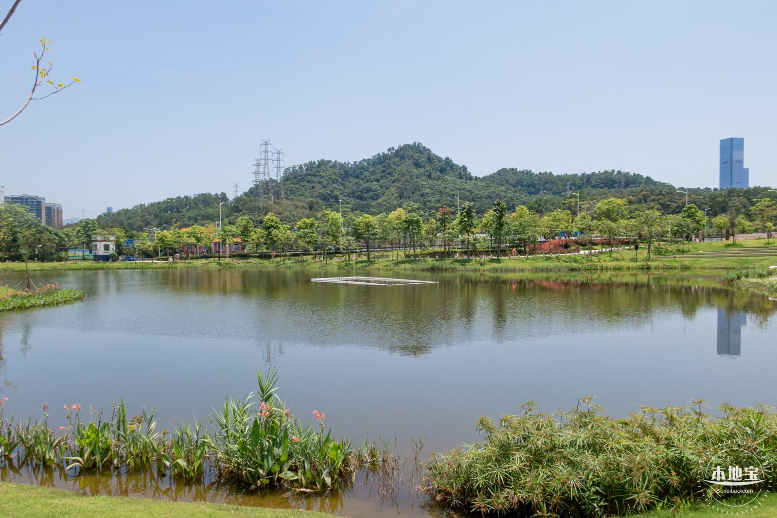 金湖上库水库库岸公园