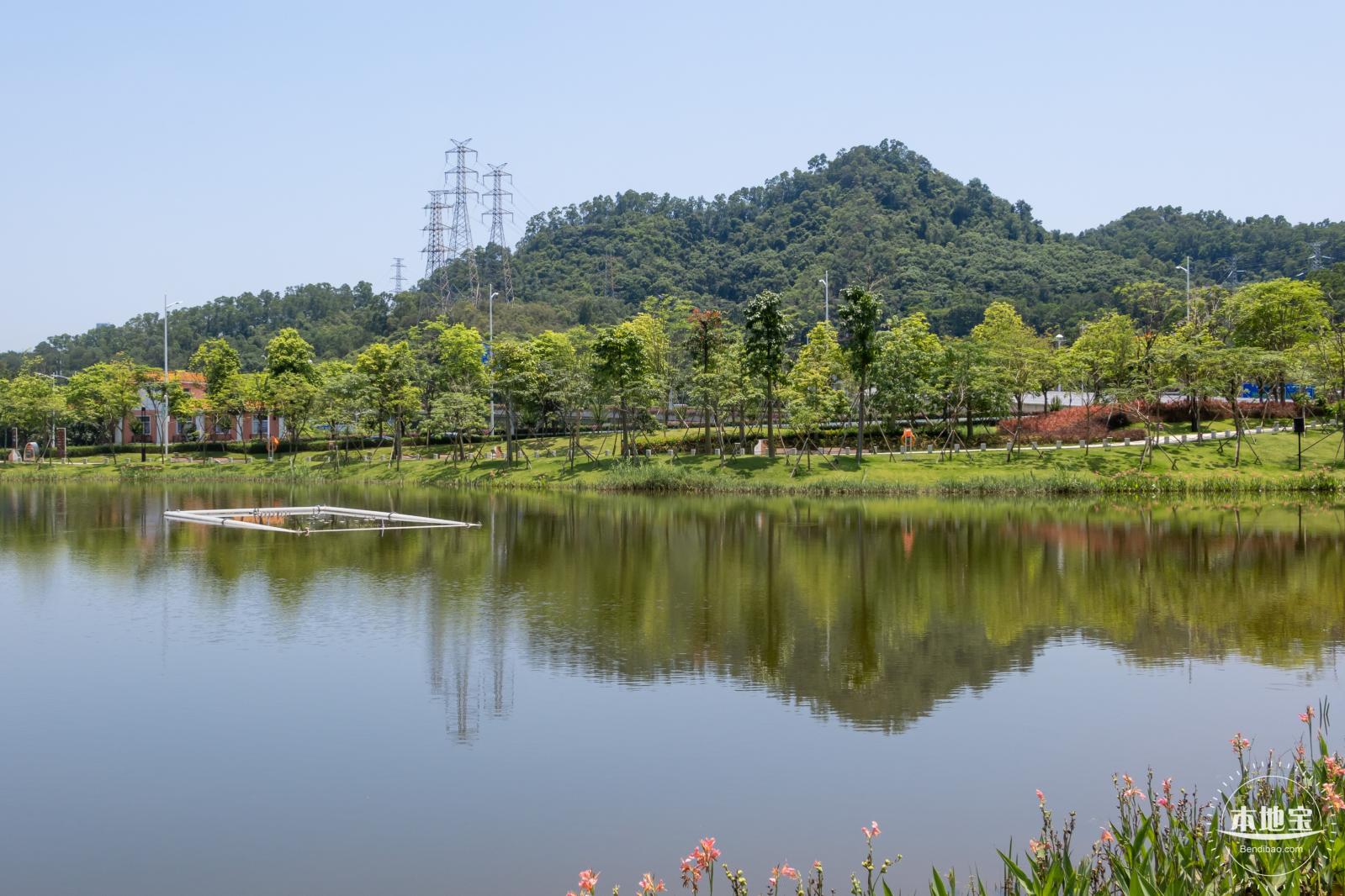 金湖上库水库库岸公园
