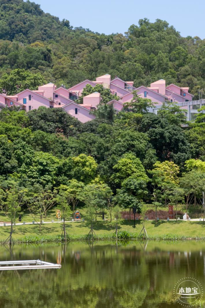 金湖上库水库库岸公园