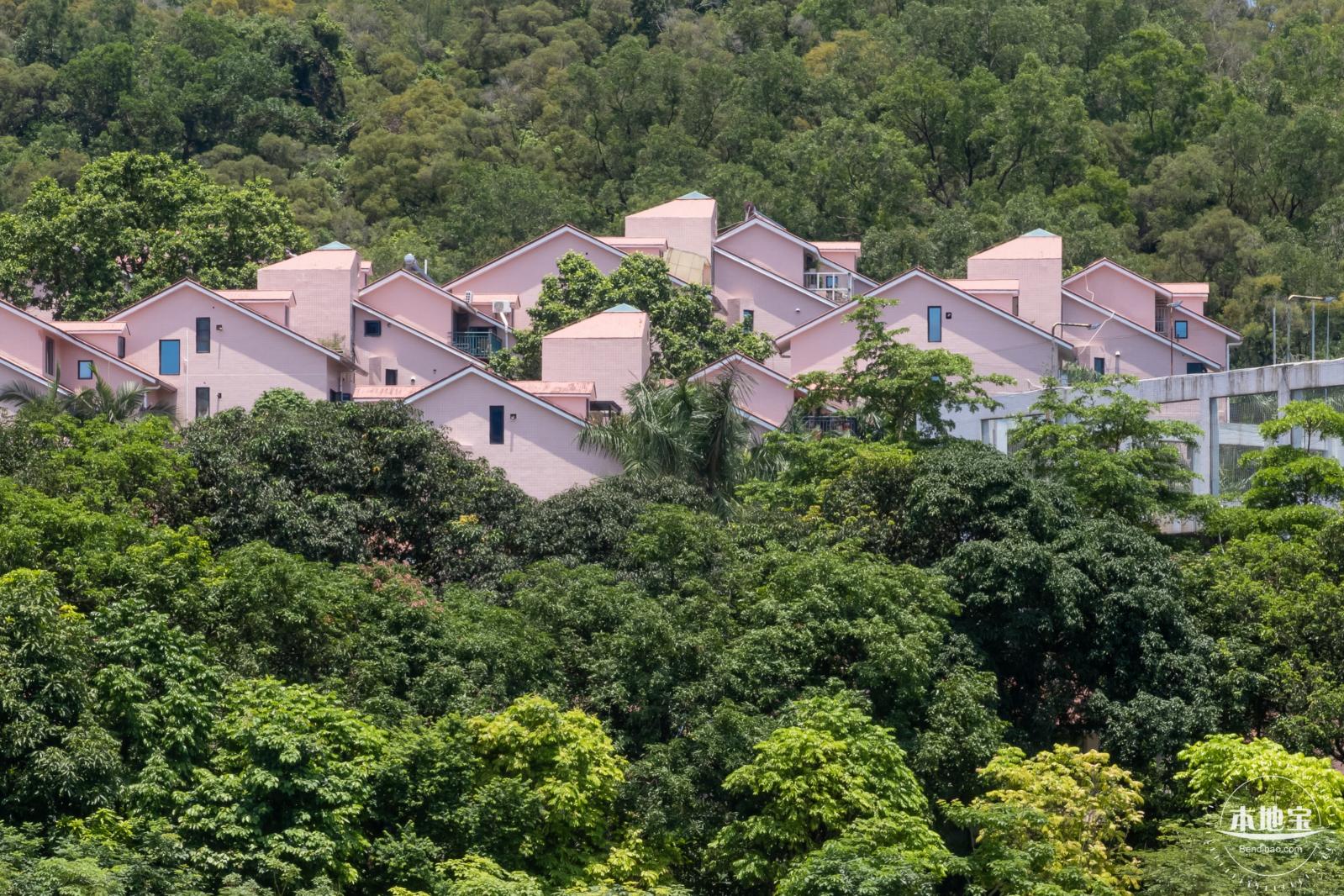 金湖上库水库库岸公园