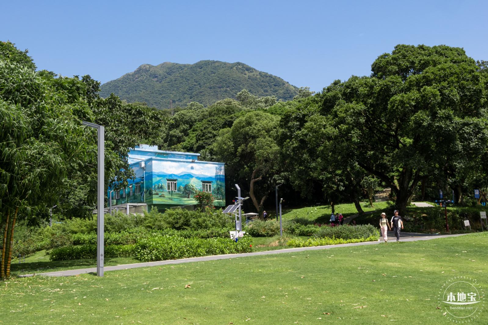 梧桐山森林会客厅