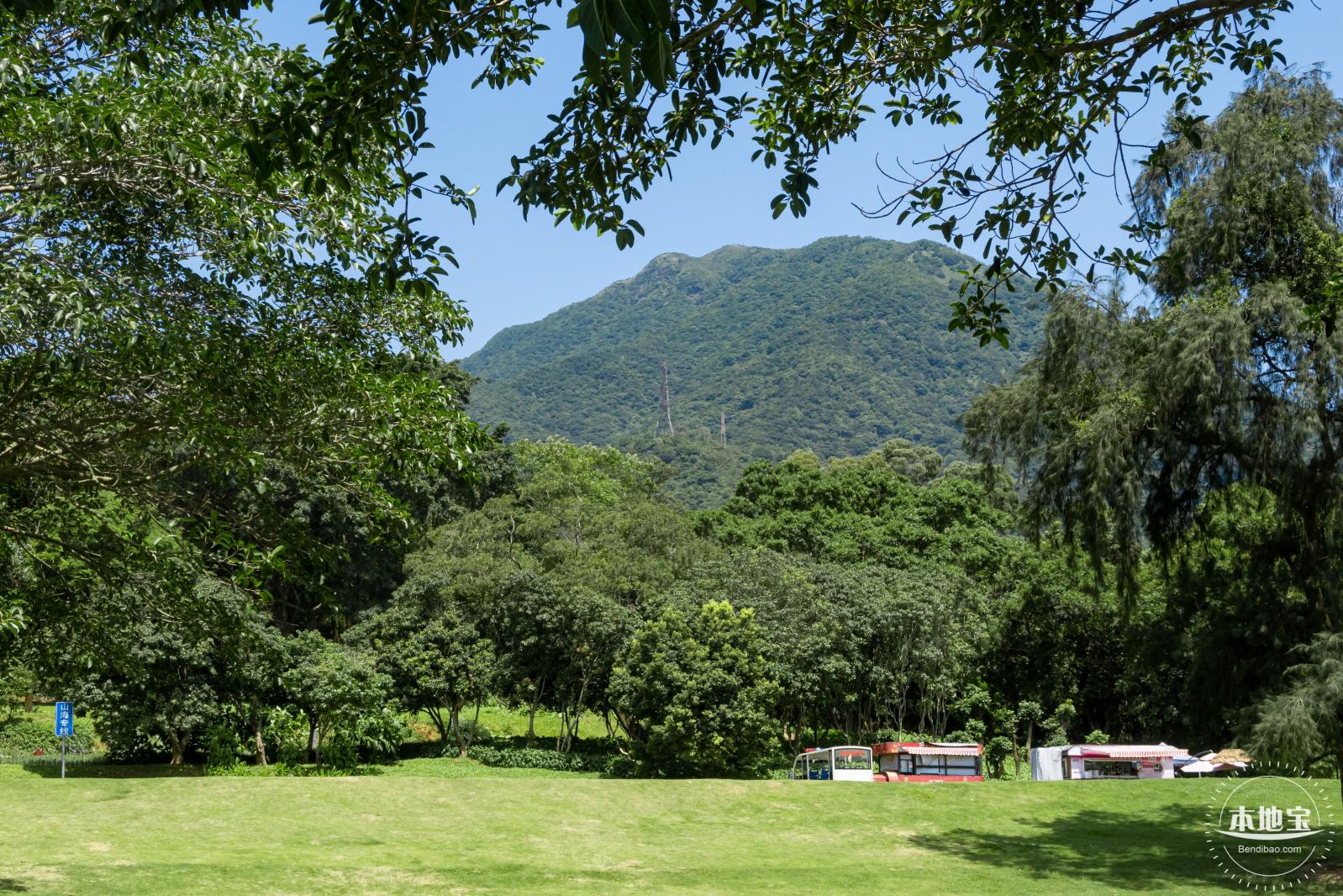 梧桐山森林会客厅