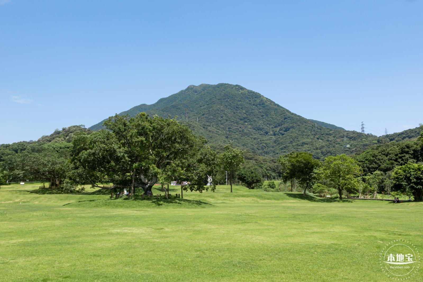梧桐山森林会客厅