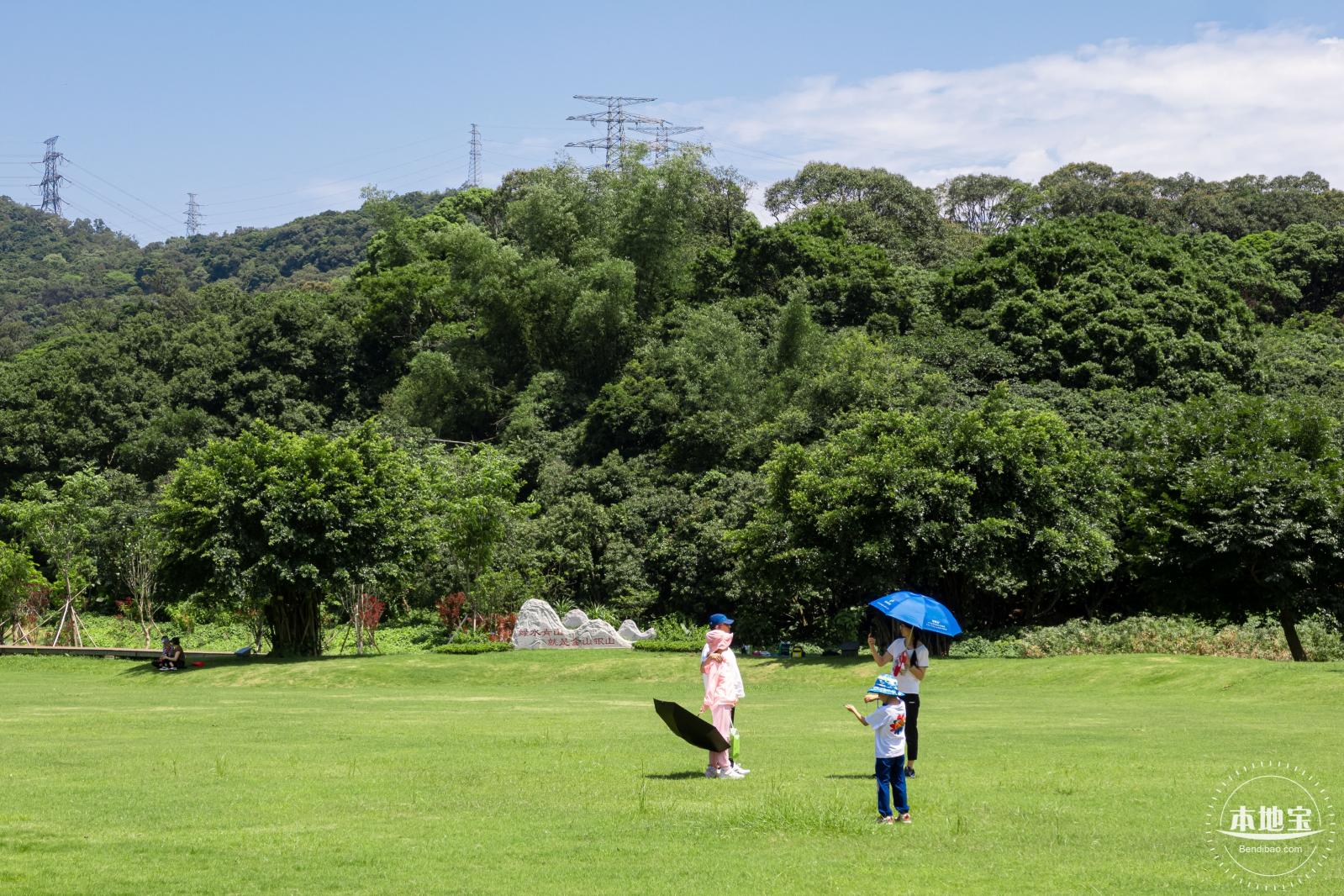梧桐山森林会客厅