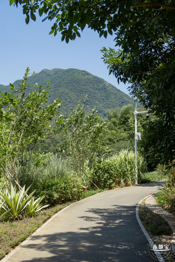 梧桐山森林会客厅