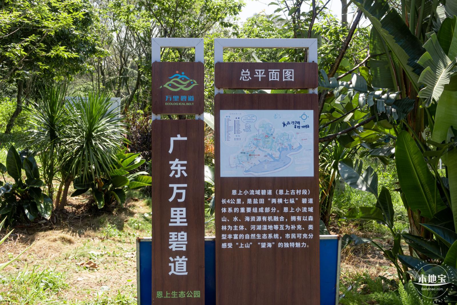 梧桐山森林会客厅