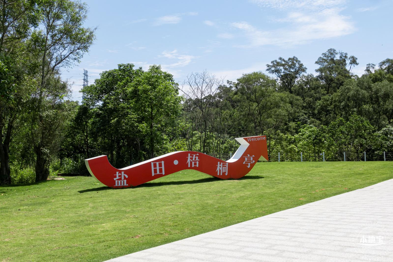 梧桐山森林会客厅