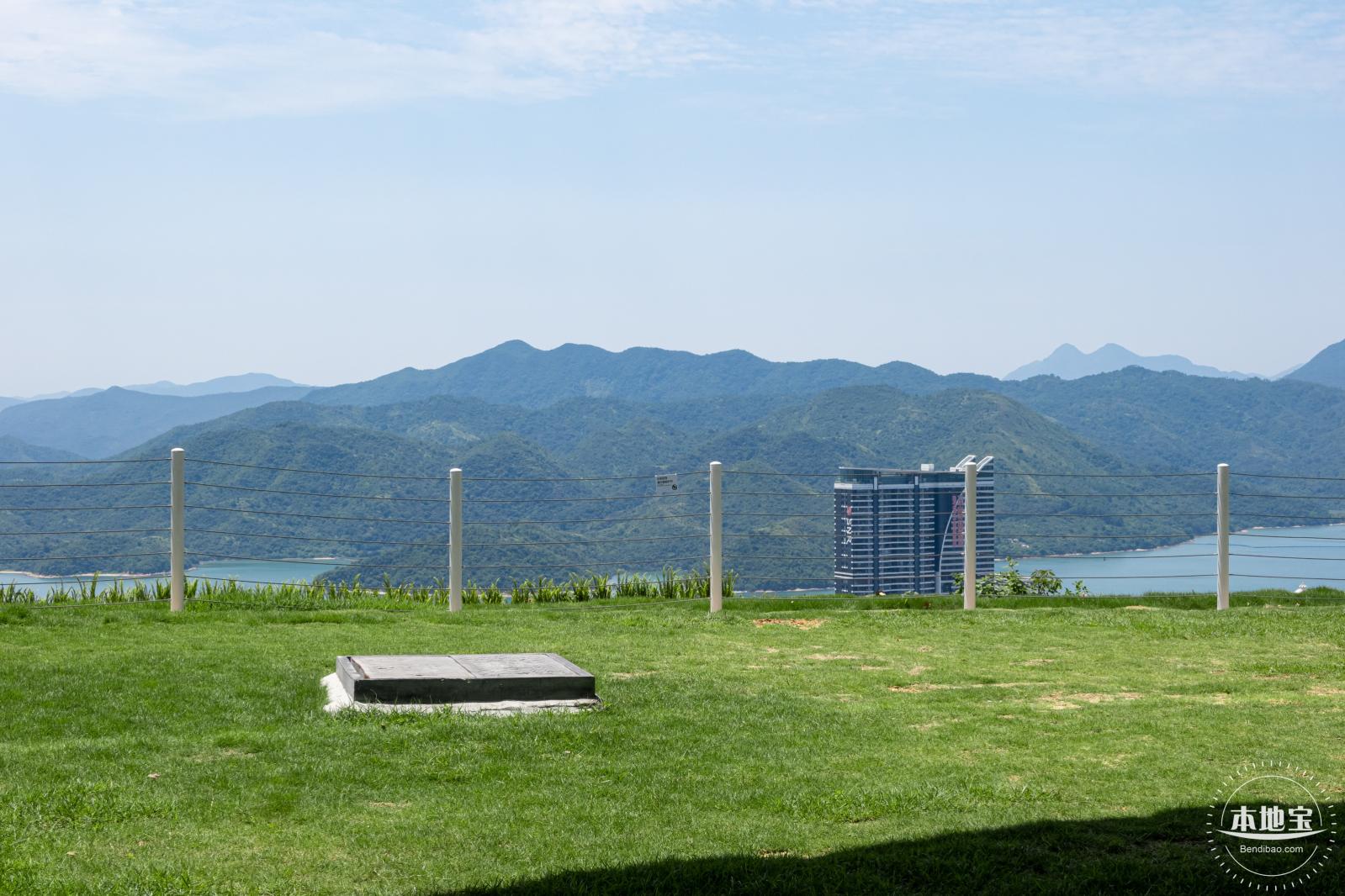 梧桐山森林会客厅