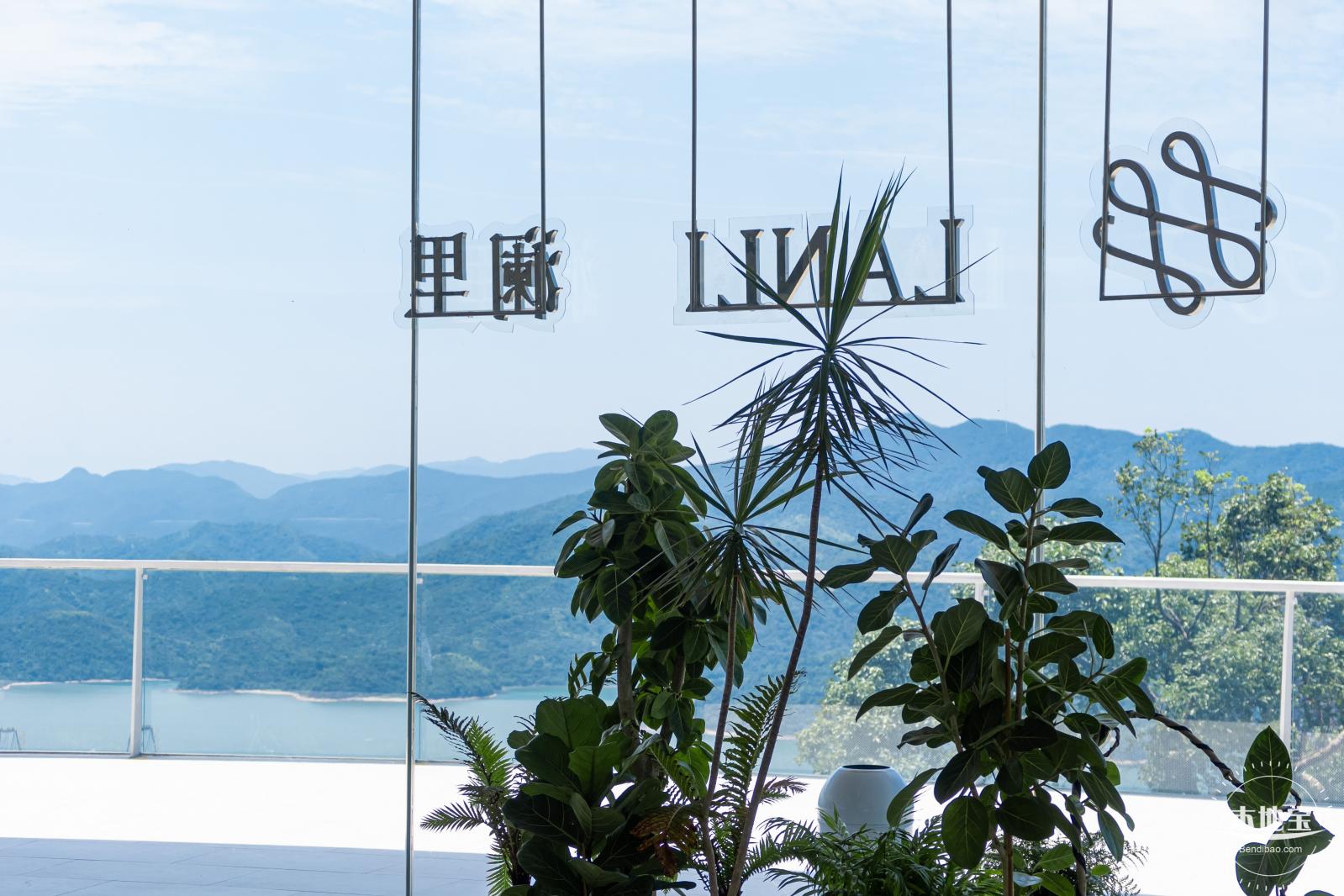 梧桐山森林会客厅