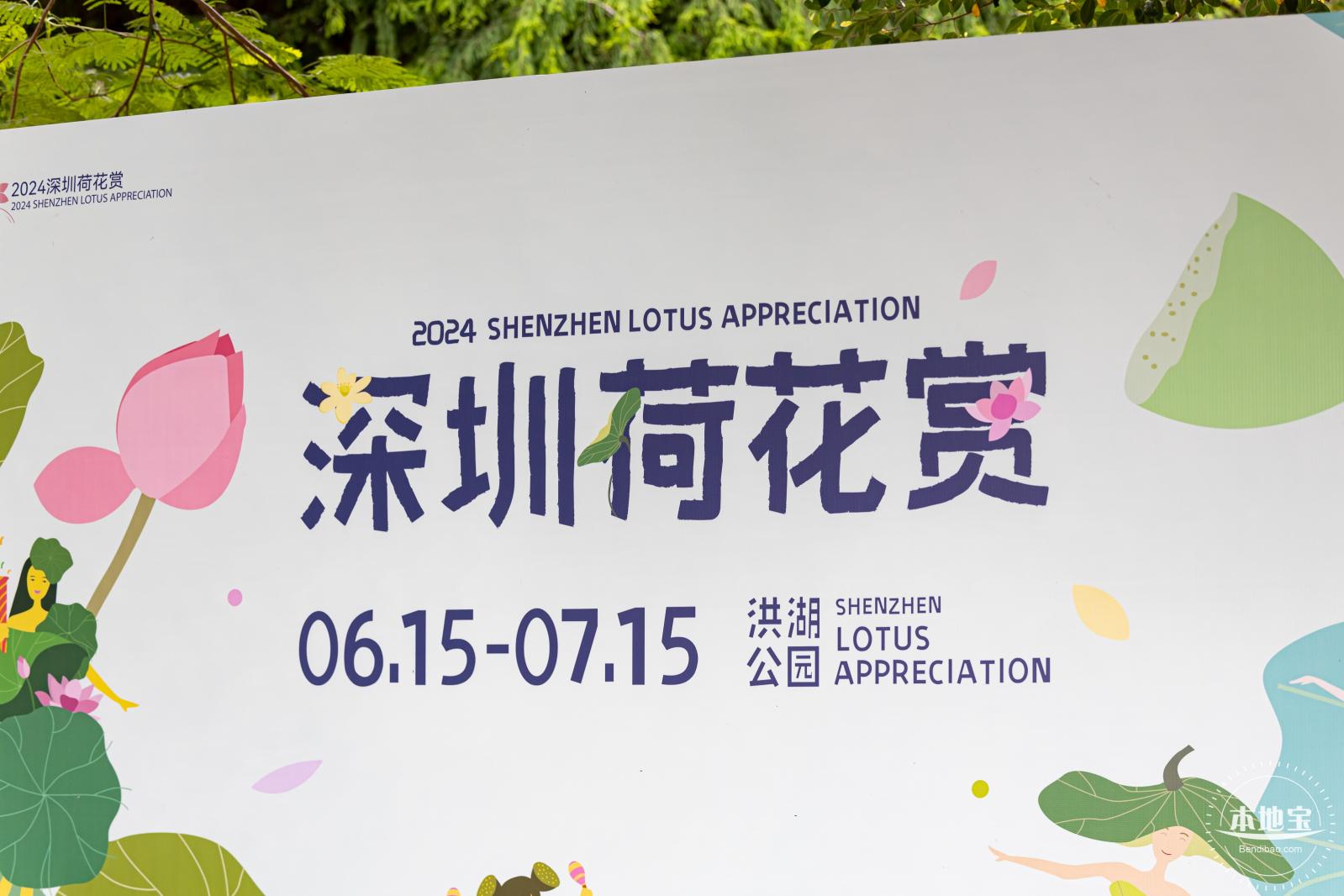 2024深圳荷花赏