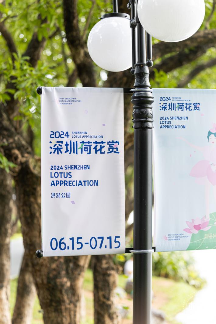 2024深圳荷花赏