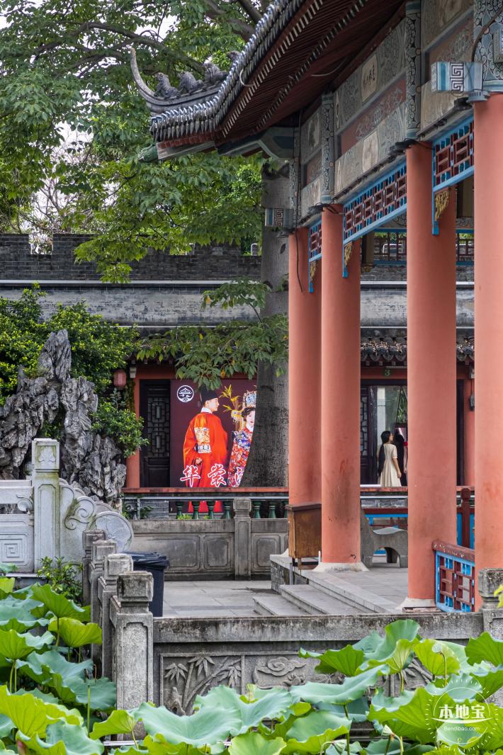 万景楼荷花池