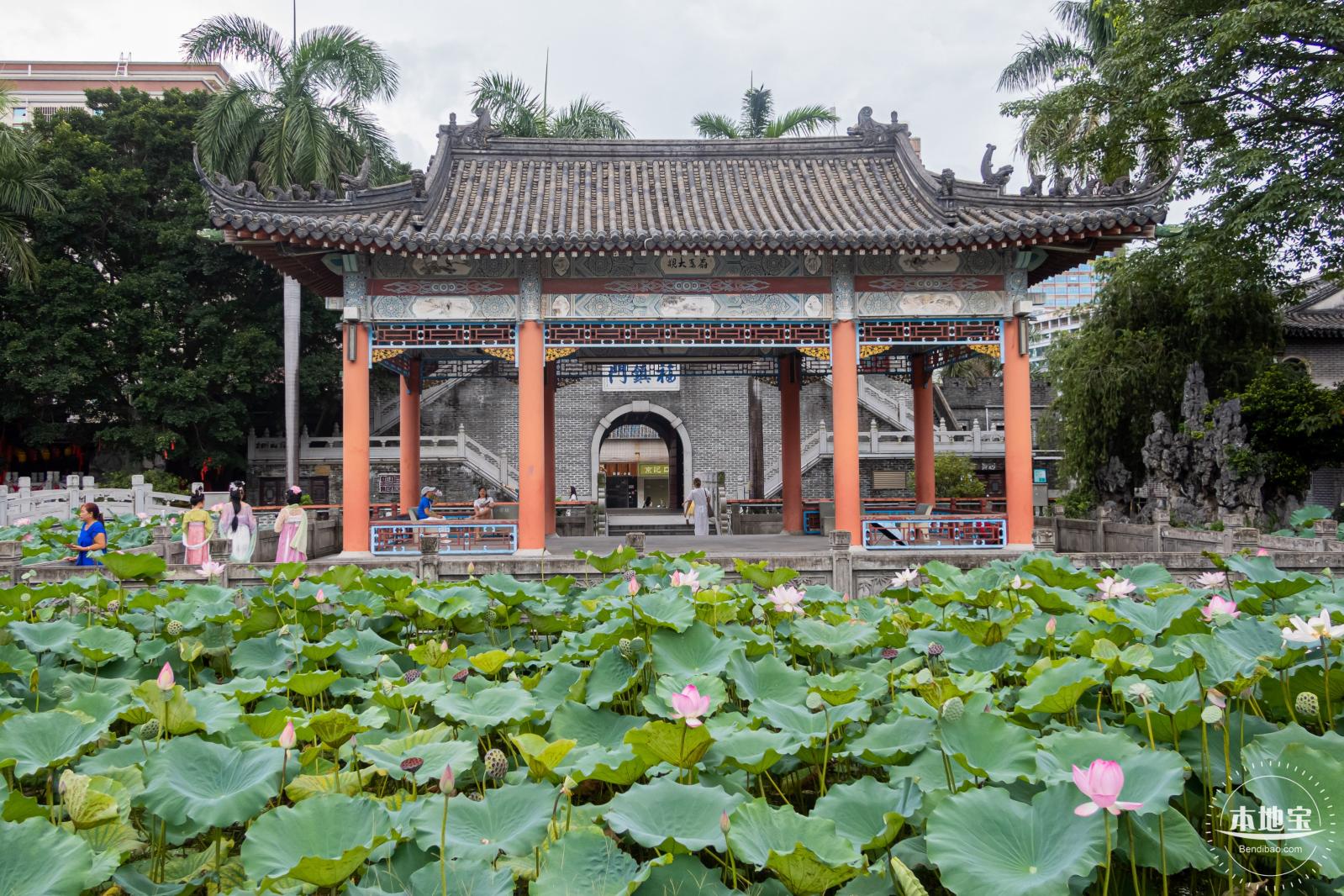 万景楼荷花池