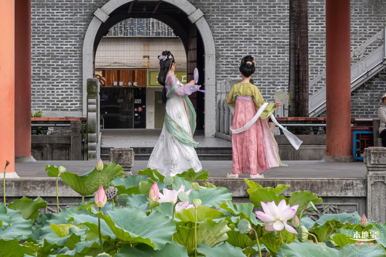 万景楼荷花池