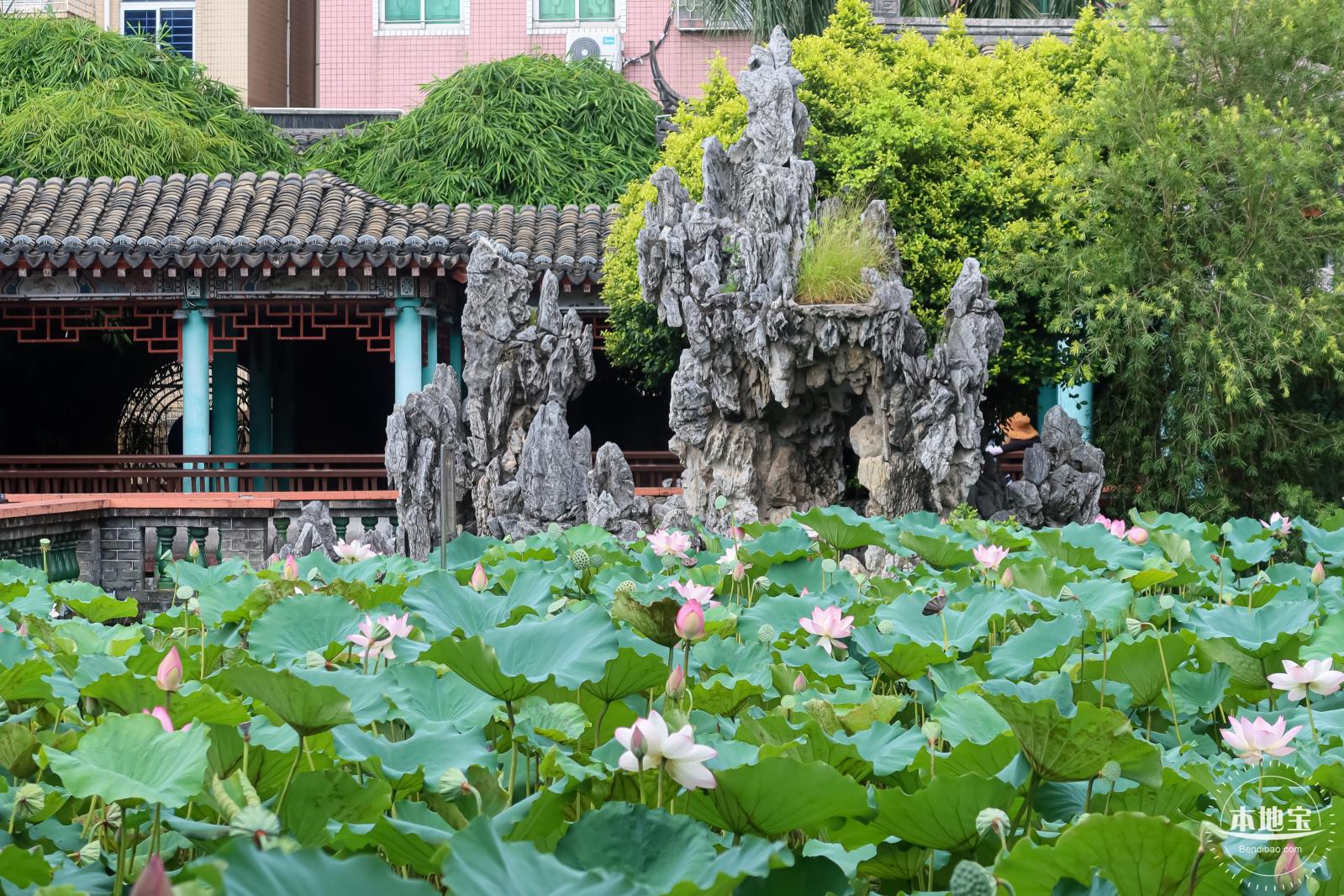 万景楼荷花池