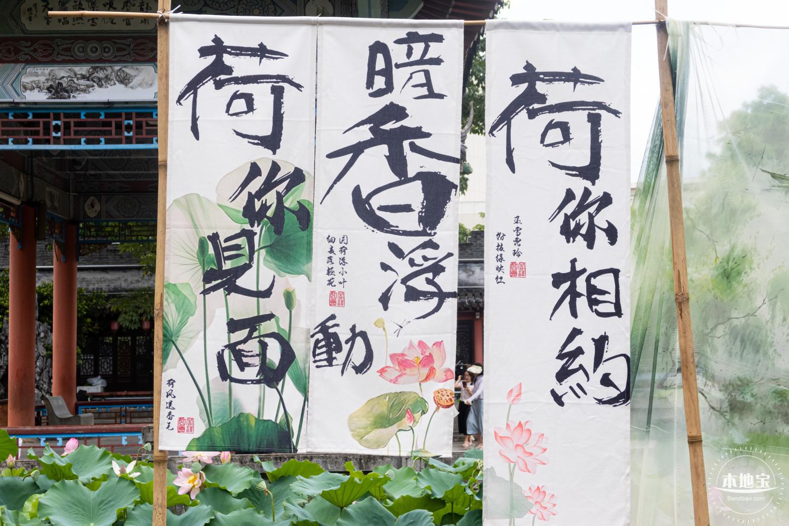 万景楼荷花池