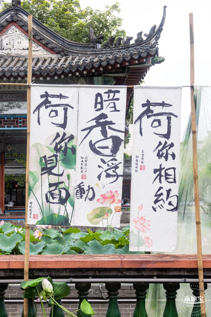 万景楼荷花池