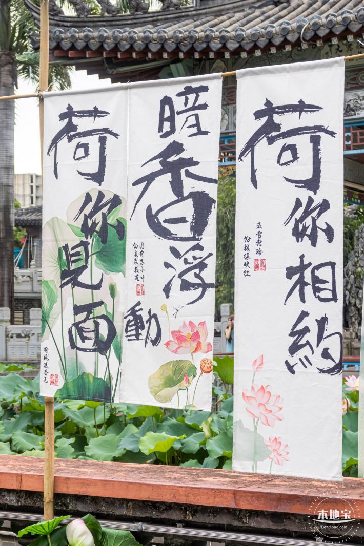 万景楼荷花池