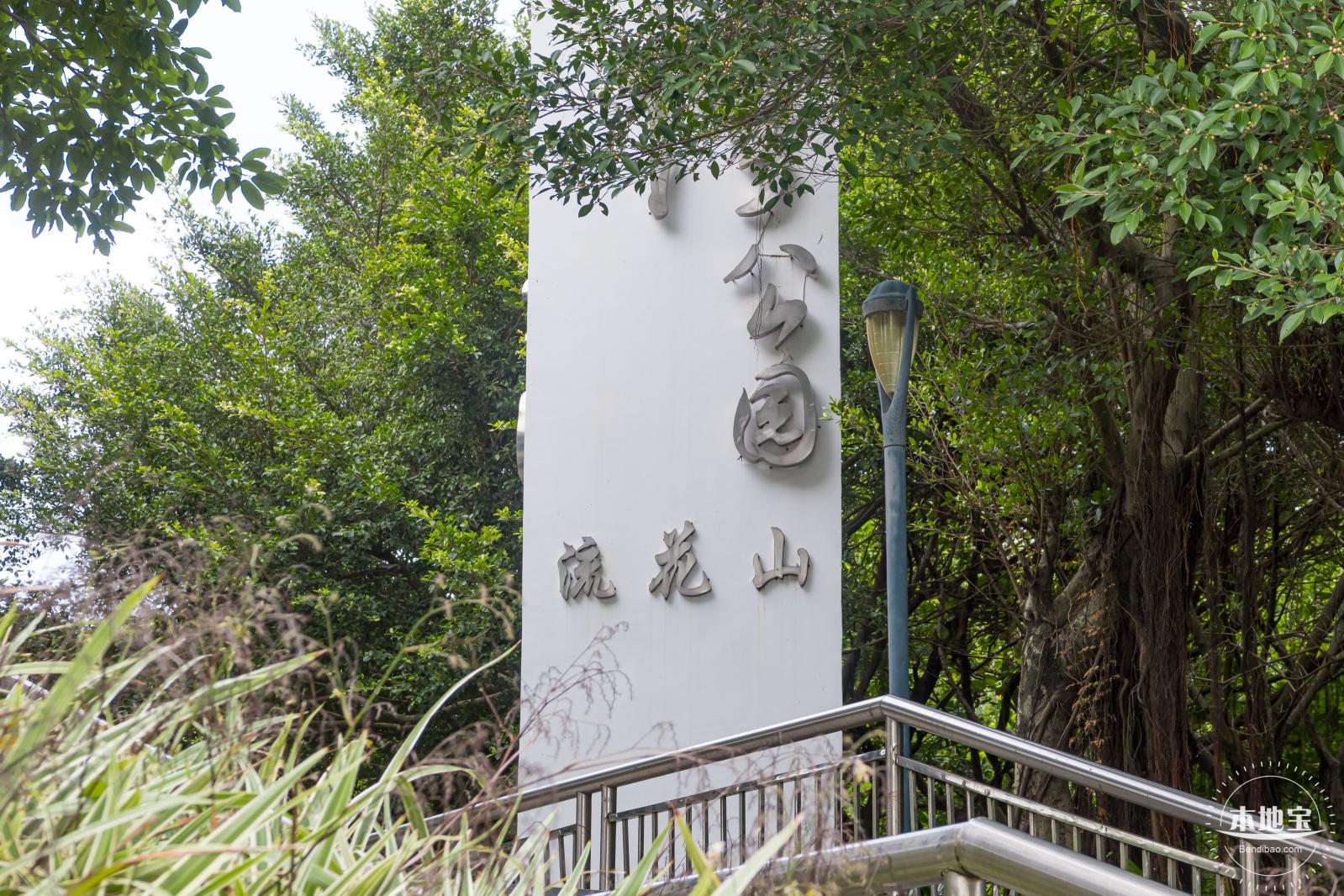 流花山粉叶金花