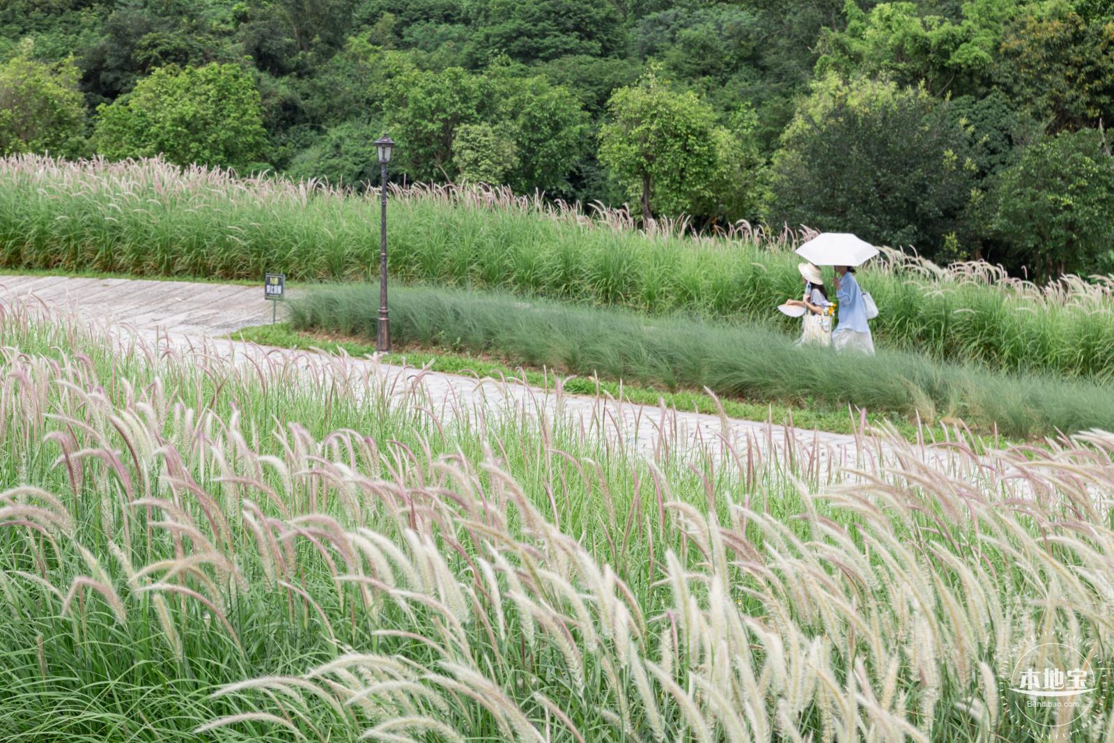 陌上花公园