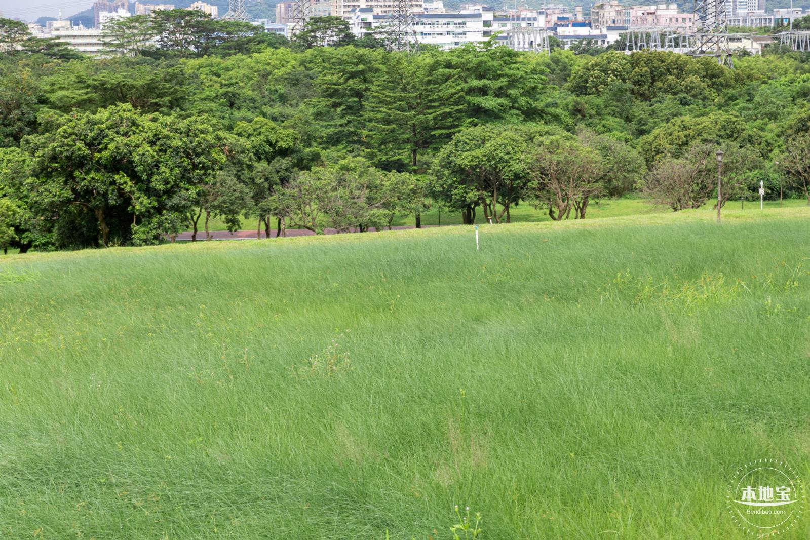 陌上花公园