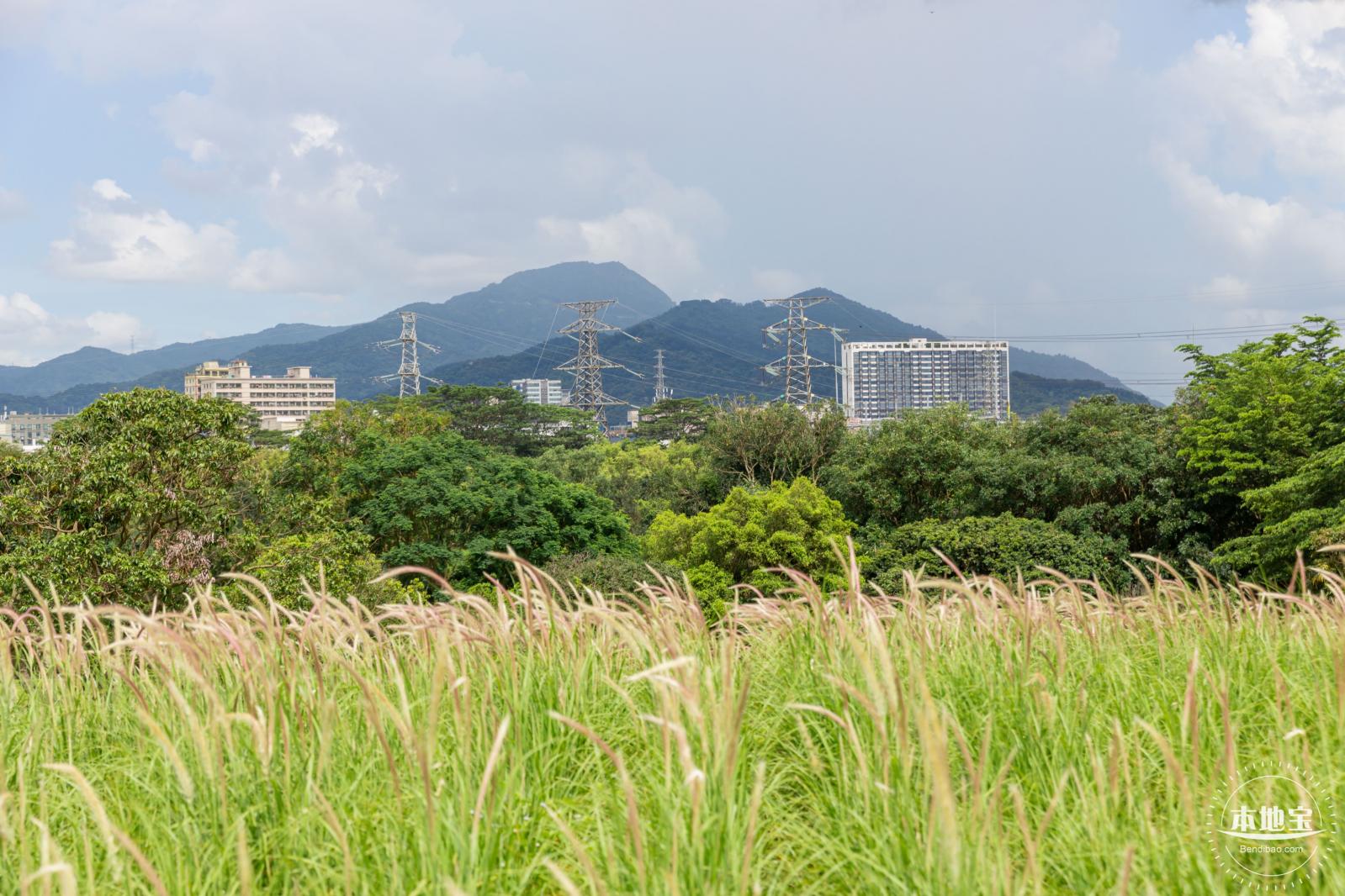陌上花公园