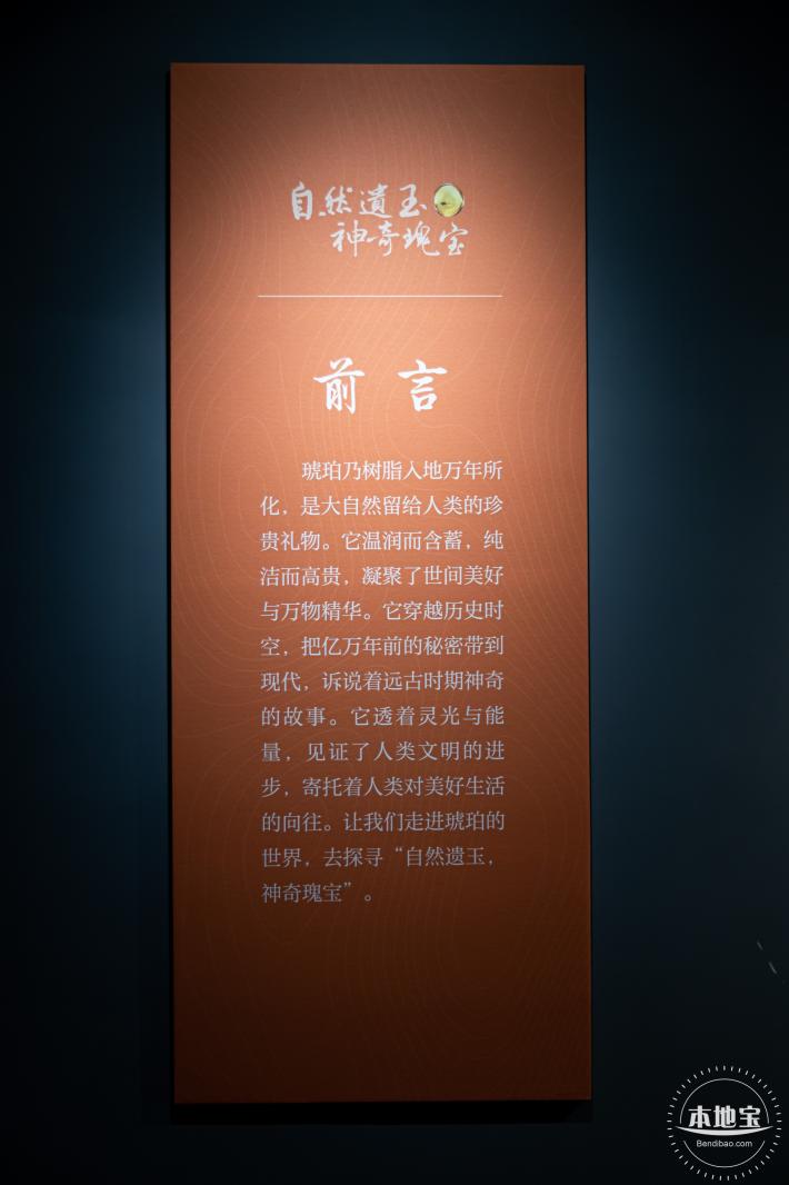 宝安区文化馆