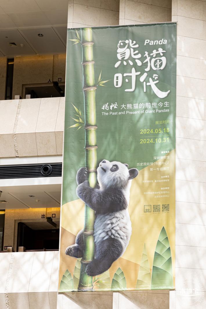 深圳新展【熊猫时代】