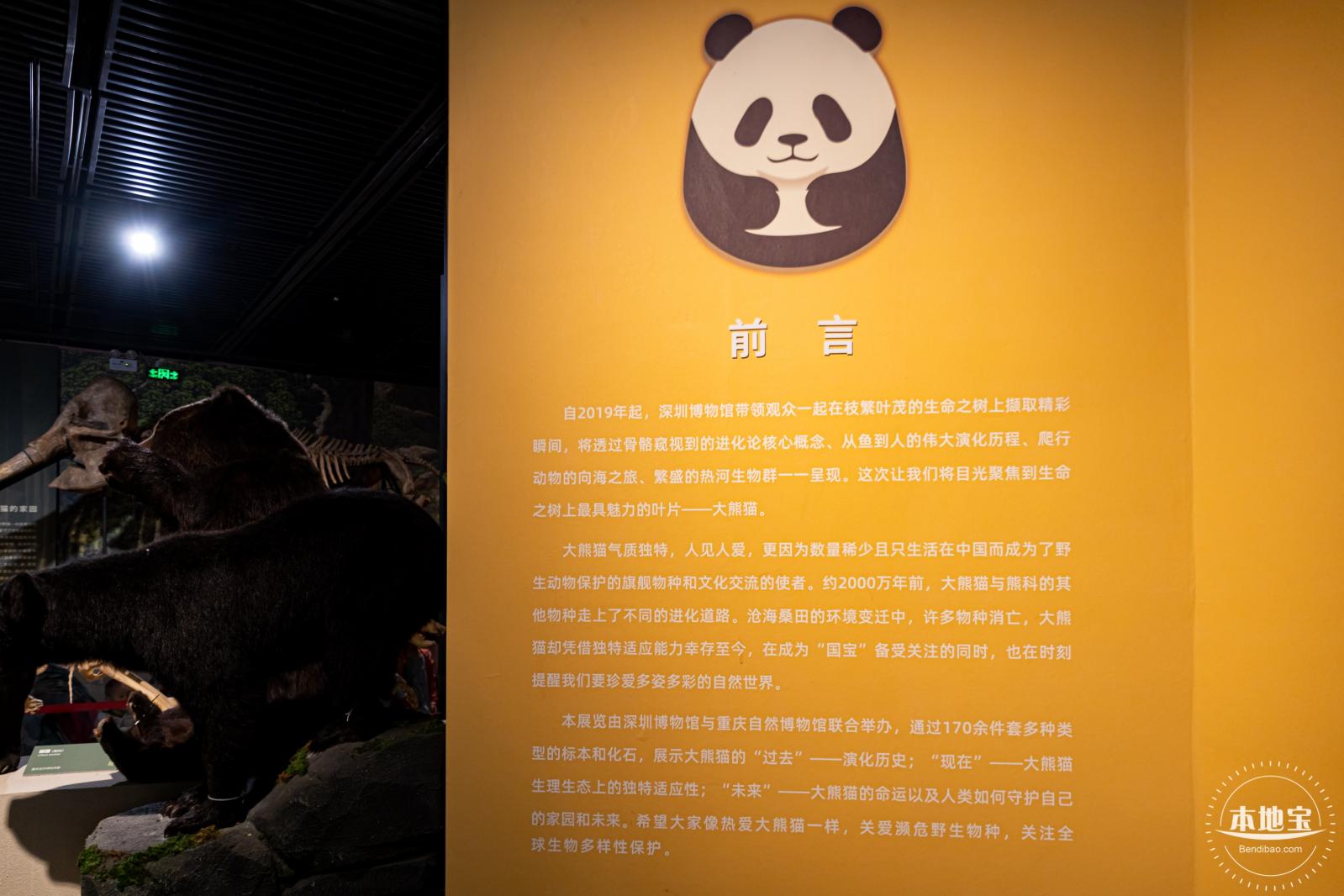 深圳新展【熊猫时代】