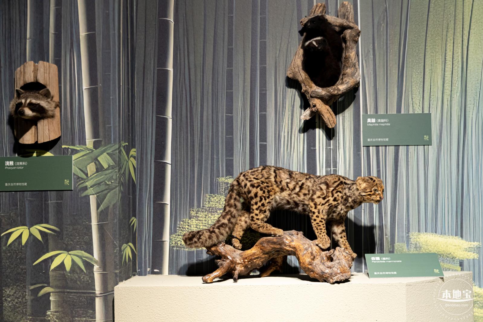 深圳新展【熊猫时代】