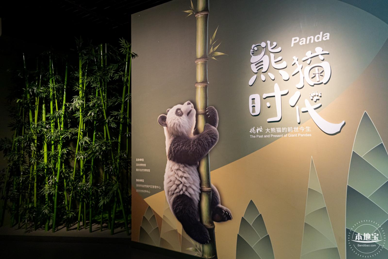 深圳新展【熊猫时代】