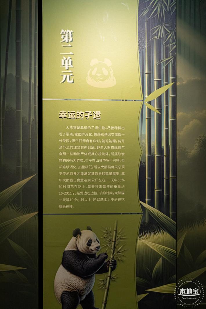 深圳新展【熊猫时代】