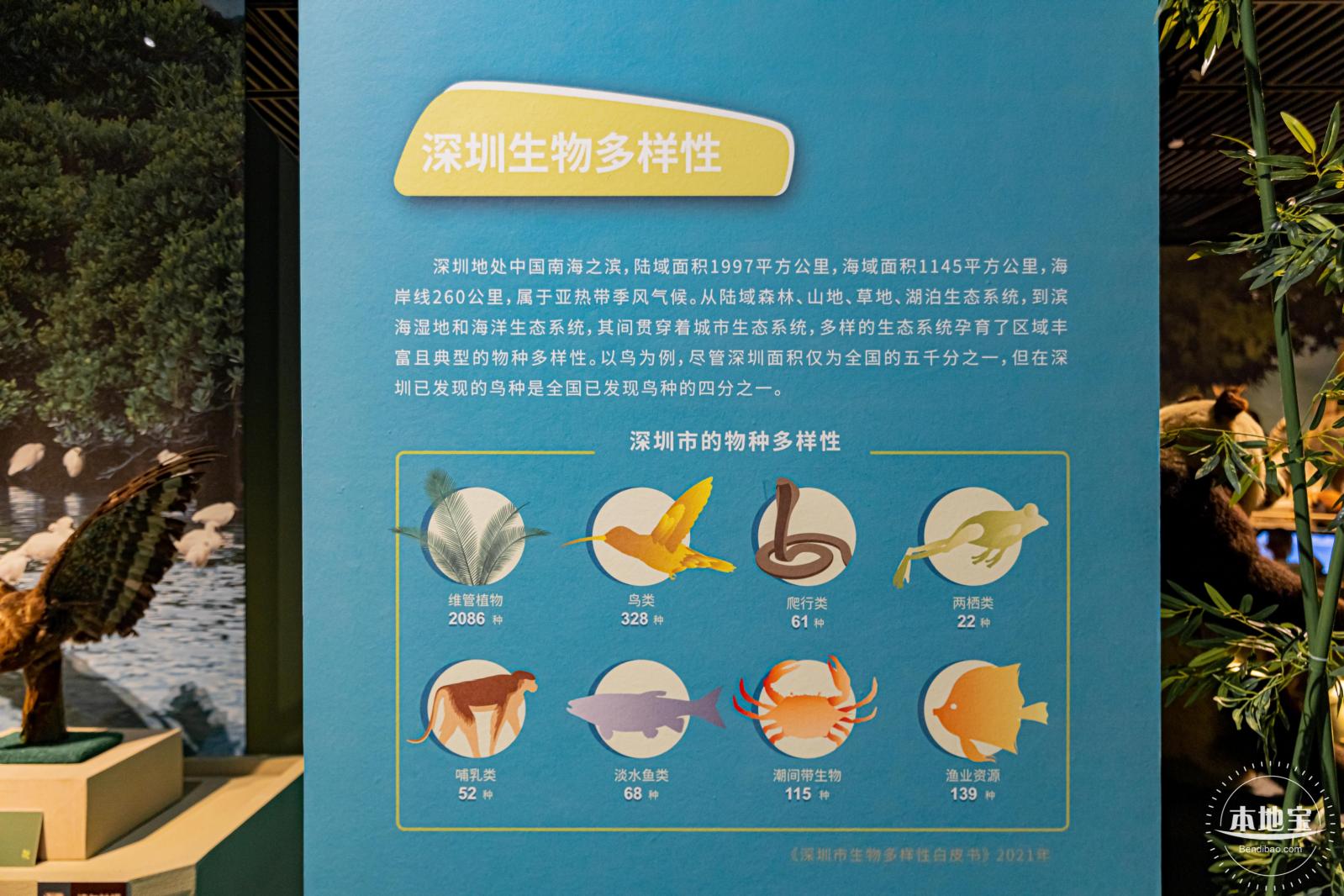 深圳新展【熊猫时代】