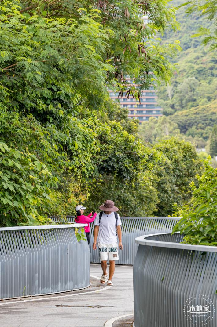 环大鹏湾海岸栈道