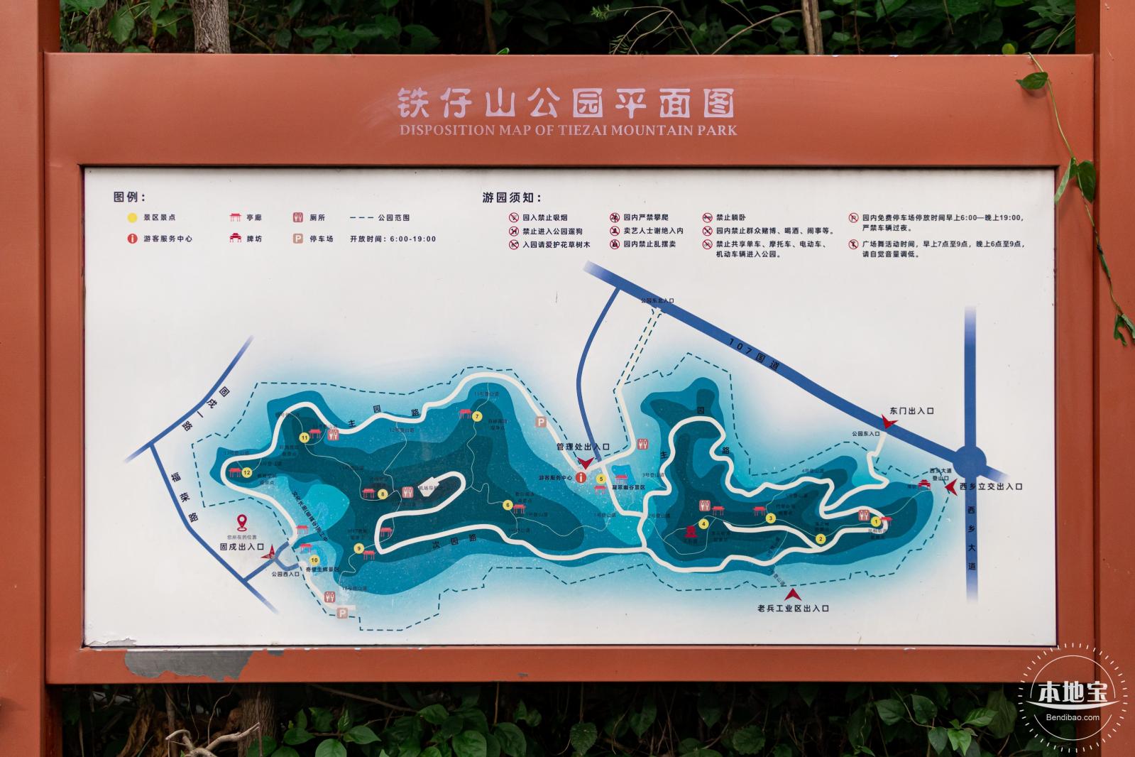铁仔山公园花海