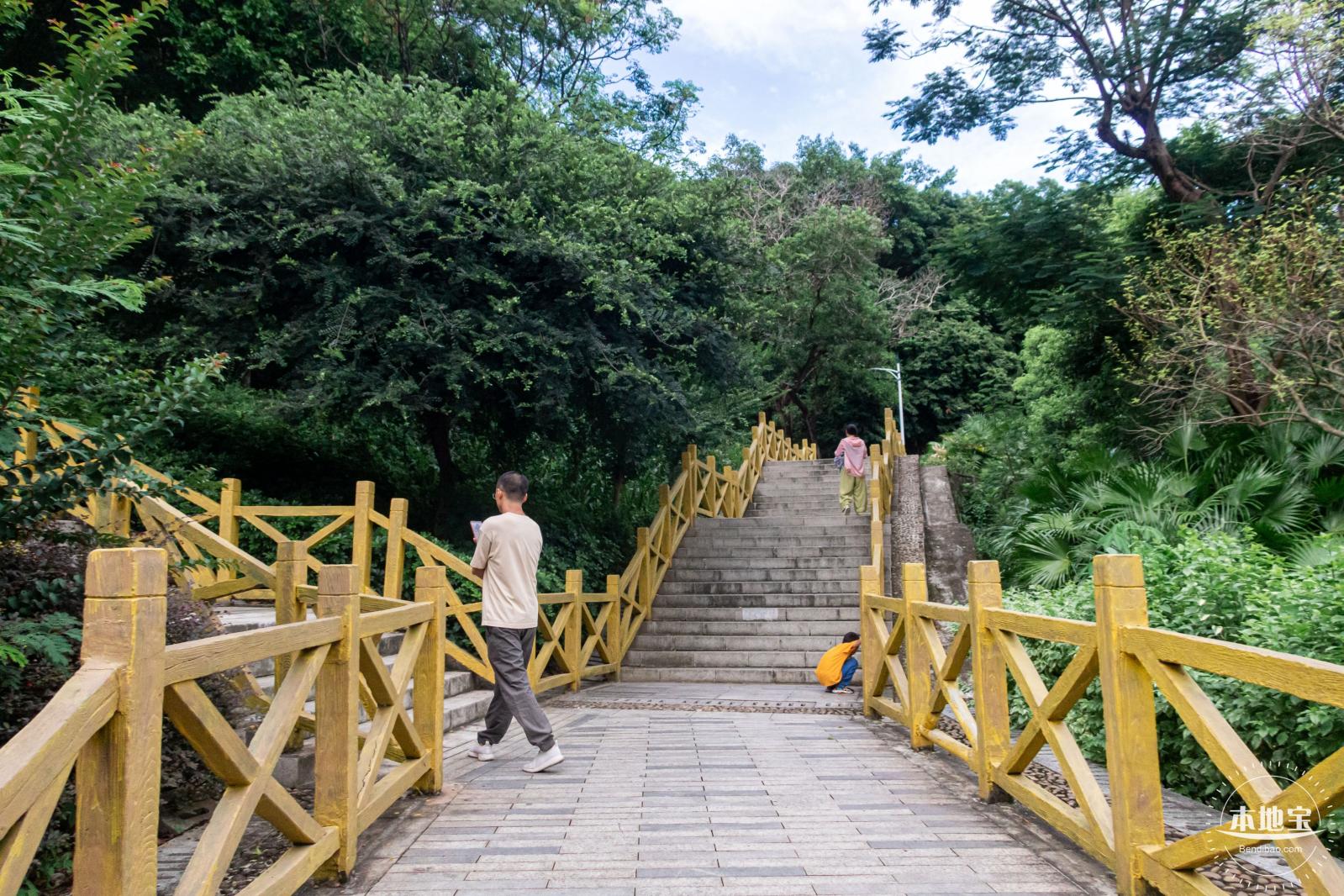 铁仔山公园花海