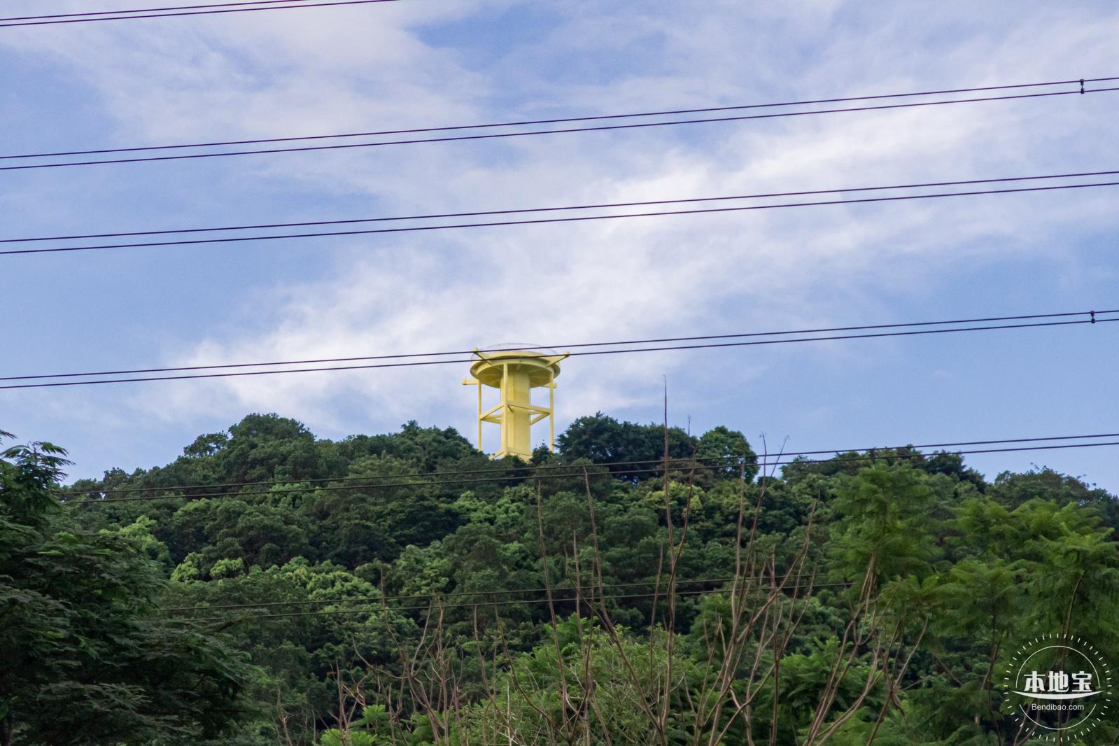 铁仔山公园花海