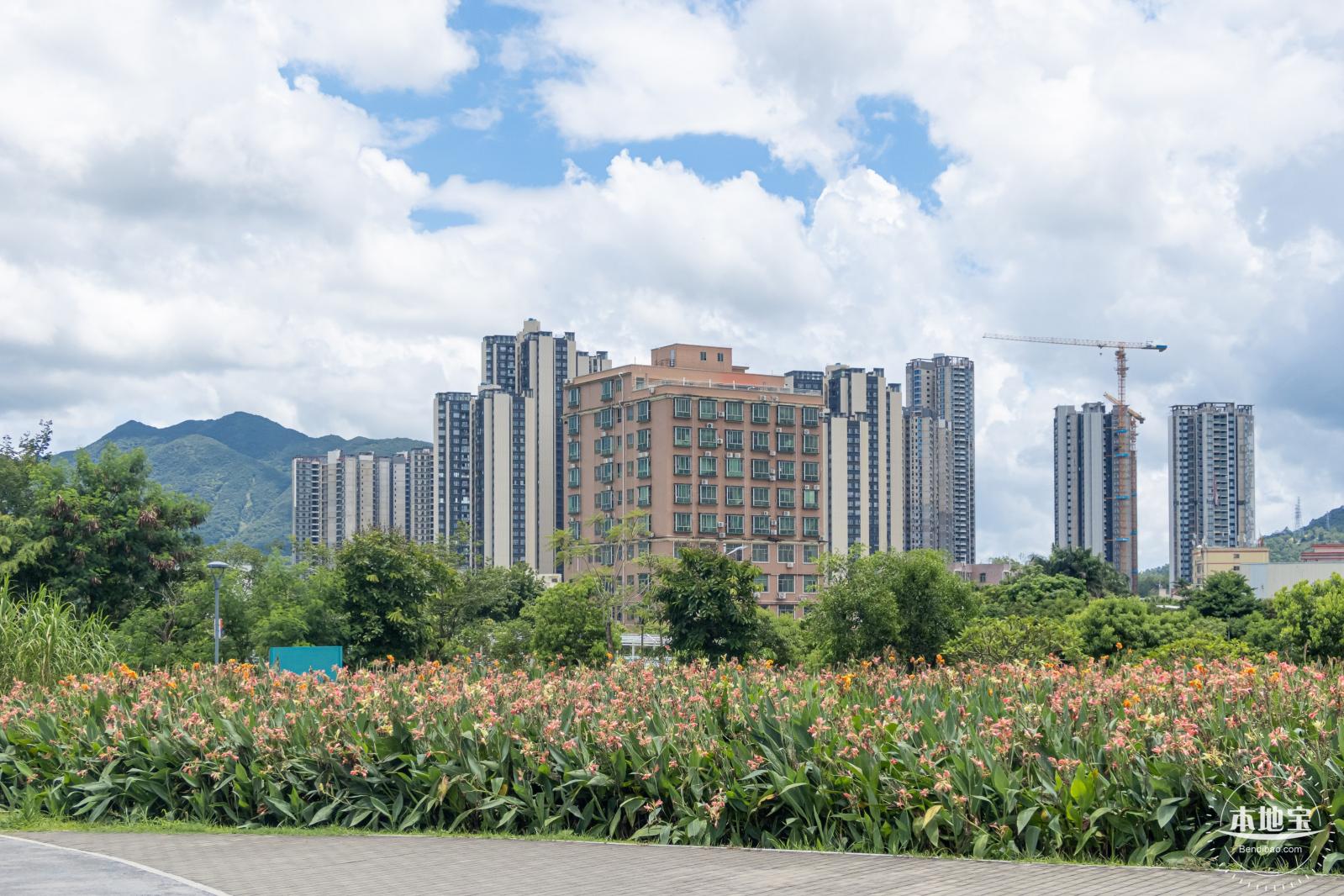 坪山河公园