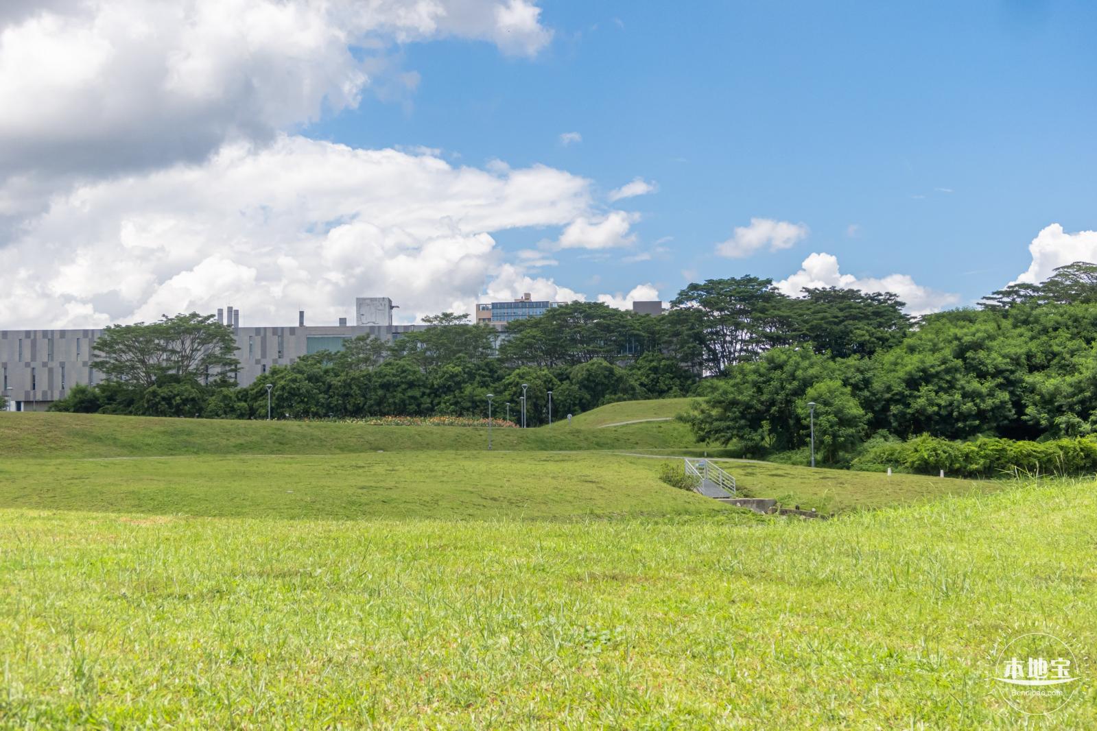 坪山河公园