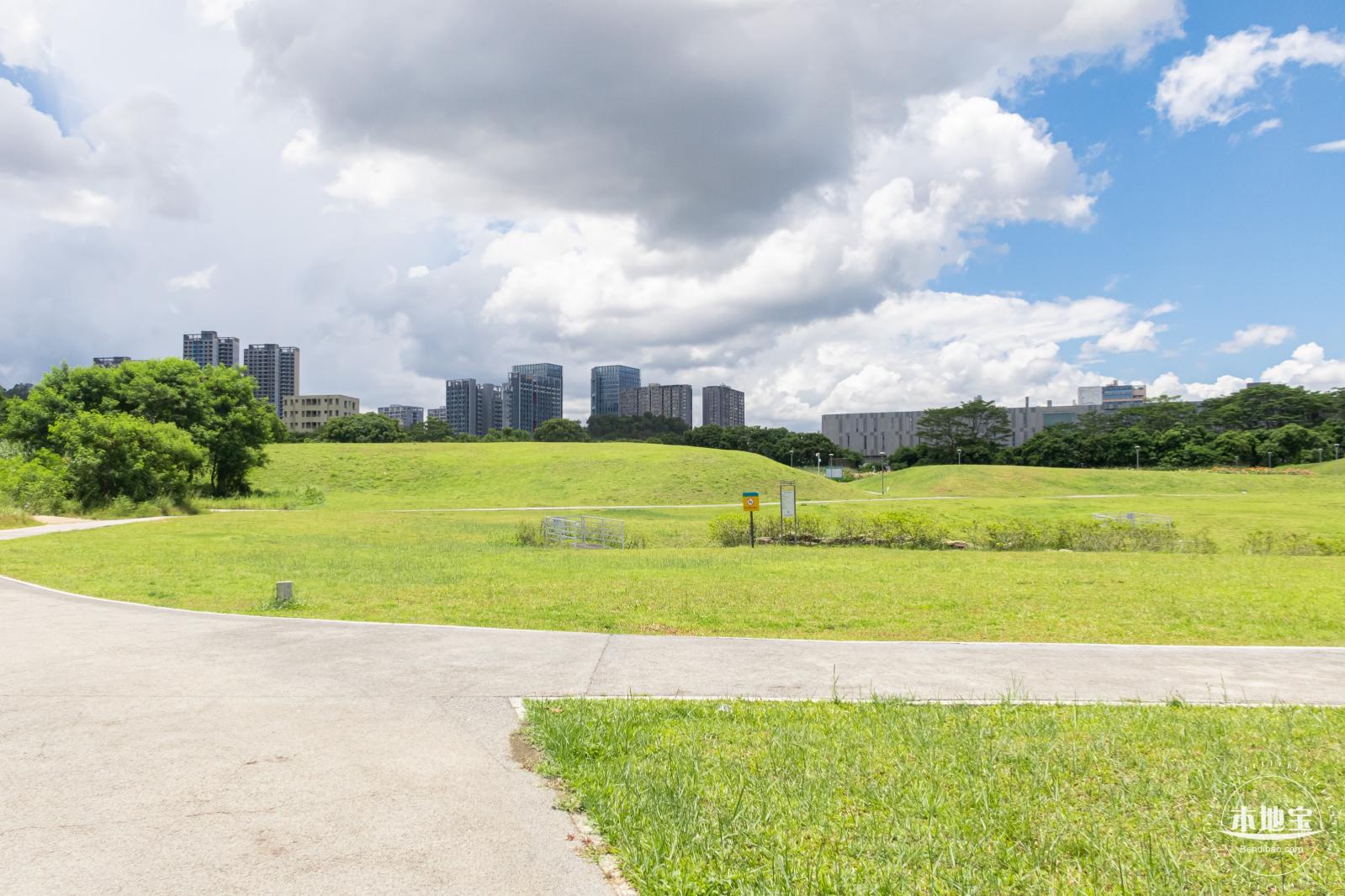 坪山河公园