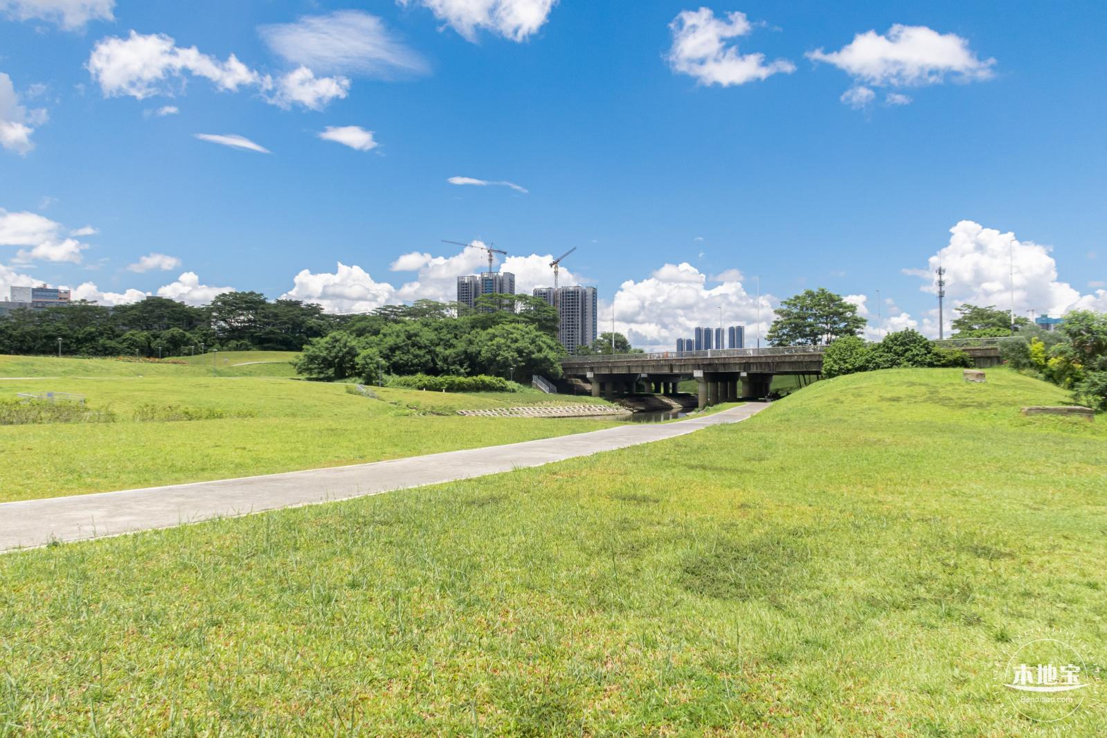 坪山河公园