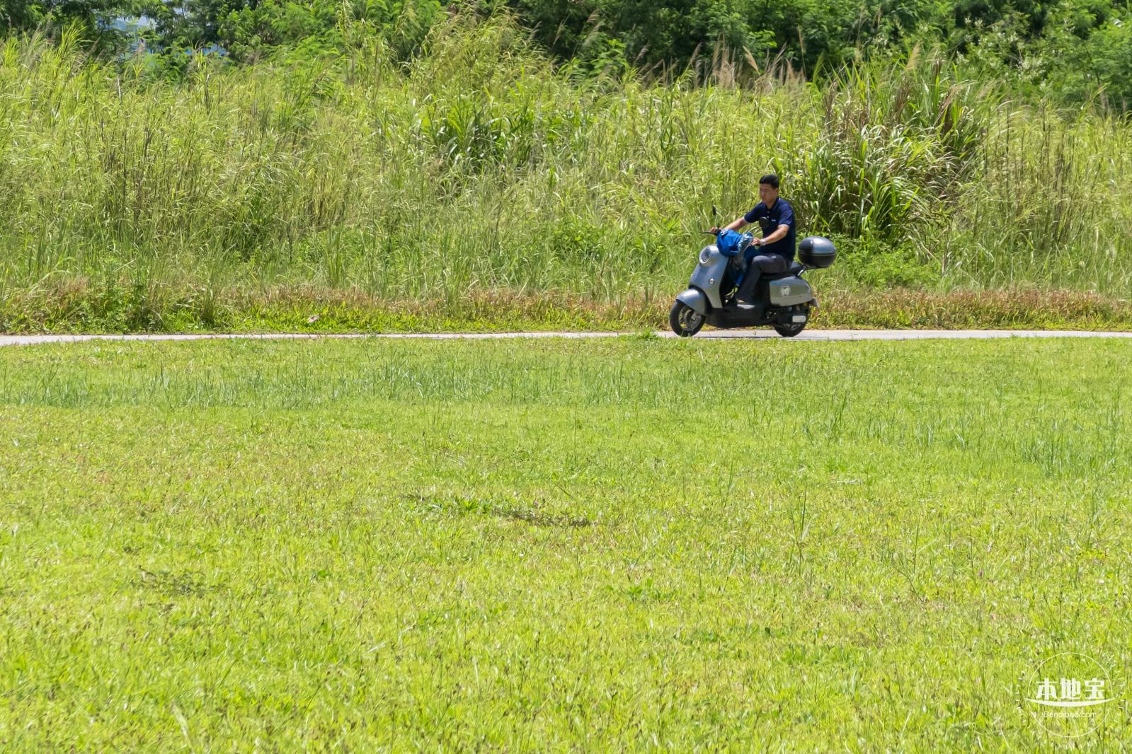 坪山河公园